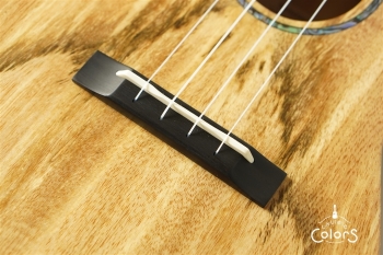 Romero Concert Spalted Mango